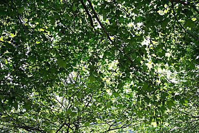 育碧：《不羁联盟》在发售后将获得长期支持